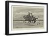 A Gallop on the Sands-Frank Dadd-Framed Giclee Print