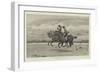 A Gallop on the Sands-Frank Dadd-Framed Giclee Print