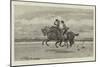 A Gallop on the Sands-Frank Dadd-Mounted Giclee Print