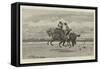 A Gallop on the Sands-Frank Dadd-Framed Stretched Canvas