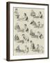 A Game at Chess-null-Framed Giclee Print