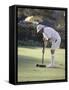 A Game of Croquet-null-Framed Stretched Canvas
