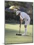 A Game of Croquet-null-Mounted Photographic Print