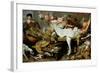 A Game Stall-Frans Snyders Or Snijders-Framed Giclee Print