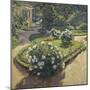 A Garden, 1910-Sergei Arsenyevich Vinogradov-Mounted Giclee Print