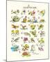 A Garden ABC-Claire Fletcher-Mounted Giclee Print