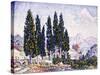 A Garden at Saint-Paul, 1923-Paul Signac-Stretched Canvas