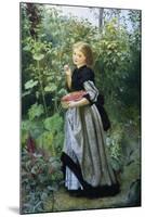 A Garden Harvest-Frederick Smallfield-Mounted Giclee Print