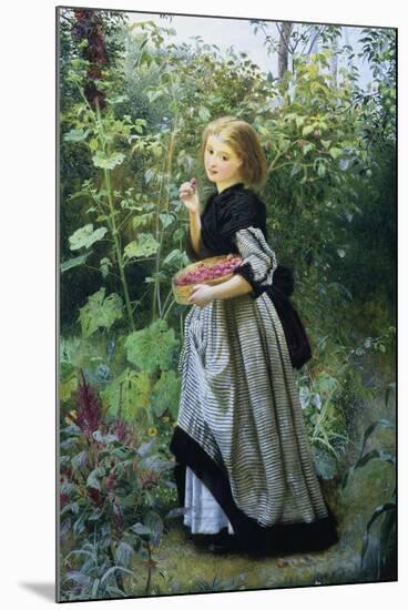 A Garden Harvest-Frederick Smallfield-Mounted Giclee Print