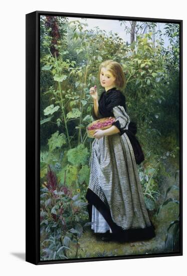 A Garden Harvest-Frederick Smallfield-Framed Stretched Canvas