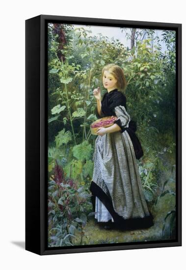 A Garden Harvest-Frederick Smallfield-Framed Stretched Canvas