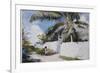 A Garden in Nassau, 1885-Winslow Homer-Framed Premium Giclee Print