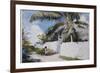 A Garden in Nassau, 1885-Winslow Homer-Framed Premium Giclee Print