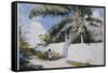 A Garden in Nassau, 1885-Winslow Homer-Framed Stretched Canvas