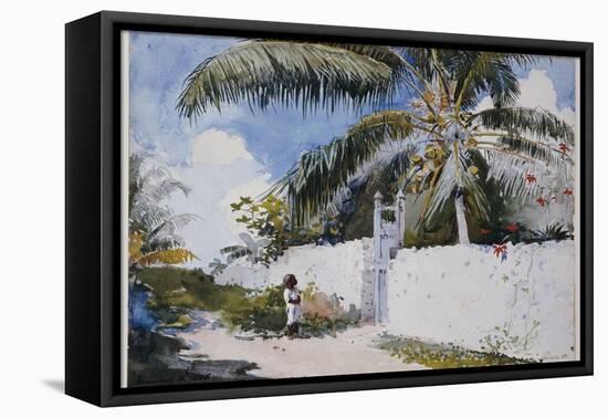 A Garden in Nassau, 1885-Winslow Homer-Framed Stretched Canvas