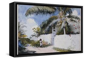 A Garden in Nassau, 1885-Winslow Homer-Framed Stretched Canvas