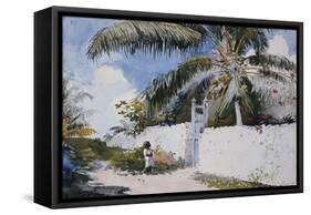 A Garden in Nassau, 1885-Winslow Homer-Framed Stretched Canvas