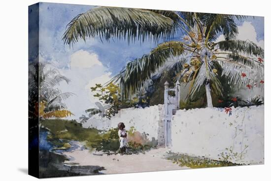 A Garden in Nassau, 1885-Winslow Homer-Stretched Canvas