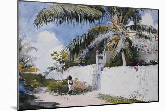 A Garden in Nassau, 1885-Winslow Homer-Mounted Giclee Print