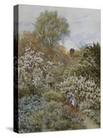 A Garden in Spring-Helen Allingham-Stretched Canvas