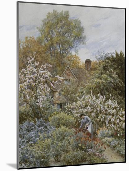 A Garden in Spring-Helen Allingham-Mounted Giclee Print