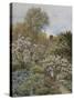 A Garden in Spring-Helen Allingham-Stretched Canvas