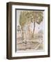 A Garden in Turkey, 19th Century (Chromolith)-A. de Beaumont-Framed Giclee Print