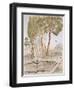 A Garden in Turkey, 19th Century (Chromolith)-A. de Beaumont-Framed Giclee Print