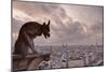 A Gargoyle on Notre Dame De Paris Cathedral Looks over the City, Paris, France, Europe-Julian Elliott-Mounted Photographic Print