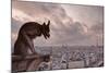 A Gargoyle on Notre Dame De Paris Cathedral Looks over the City, Paris, France, Europe-Julian Elliott-Mounted Photographic Print