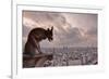 A Gargoyle on Notre Dame De Paris Cathedral Looks over the City, Paris, France, Europe-Julian Elliott-Framed Photographic Print