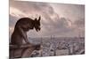 A Gargoyle on Notre Dame De Paris Cathedral Looks over the City, Paris, France, Europe-Julian Elliott-Mounted Photographic Print