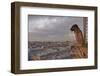 A Gargoyle on Notre Dame De Paris Cathedral Looks over the City, Paris, France, Europe-Julian Elliott-Framed Photographic Print