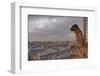 A Gargoyle on Notre Dame De Paris Cathedral Looks over the City, Paris, France, Europe-Julian Elliott-Framed Photographic Print