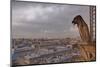 A Gargoyle on Notre Dame De Paris Cathedral Looks over the City, Paris, France, Europe-Julian Elliott-Mounted Photographic Print