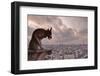 A Gargoyle on Notre Dame De Paris Cathedral Looks over the City, Paris, France, Europe-Julian Elliott-Framed Photographic Print