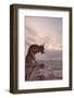 A Gargoyle on Notre Dame De Paris Cathedral Looks over the City, Paris, France, Europe-Julian Elliott-Framed Photographic Print