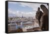 A Gargoyle Stares Out from Notre Dame De Paris Cathedral, Paris, France, Europe-Julian Elliott-Framed Stretched Canvas