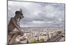 A Gargoyle-Julian Elliott-Mounted Photographic Print