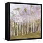 A Garment of Clouds-Danna Harvey-Framed Stretched Canvas