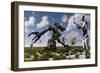 A Gathering of Different Types of Robots-Stocktrek Images-Framed Art Print