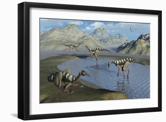 A Gathering of Pelecanimimus Dinosaurs around a Watering Place-Stocktrek Images-Framed Art Print