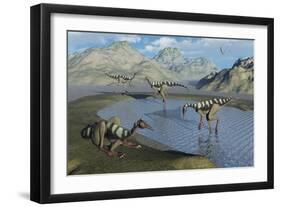 A Gathering of Pelecanimimus Dinosaurs around a Watering Place-Stocktrek Images-Framed Art Print