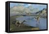 A Gathering of Pelecanimimus Dinosaurs around a Watering Place-Stocktrek Images-Framed Stretched Canvas