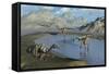 A Gathering of Pelecanimimus Dinosaurs around a Watering Place-Stocktrek Images-Framed Stretched Canvas