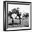 A Gaucho on Horseback-Walter Mori-Framed Premium Giclee Print