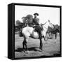 A Gaucho on Horseback-Walter Mori-Framed Stretched Canvas