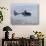 A Gendarme Helicopter is Seen Above the Bay of Cannes-Michel Spingler-Premium Photographic Print displayed on a wall