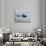 A Gendarme Helicopter is Seen Above the Bay of Cannes-Michel Spingler-Premium Photographic Print displayed on a wall