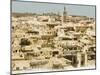 A General Panoramic View of the Rooftops of Tunis, Tunisia-null-Mounted Photographic Print